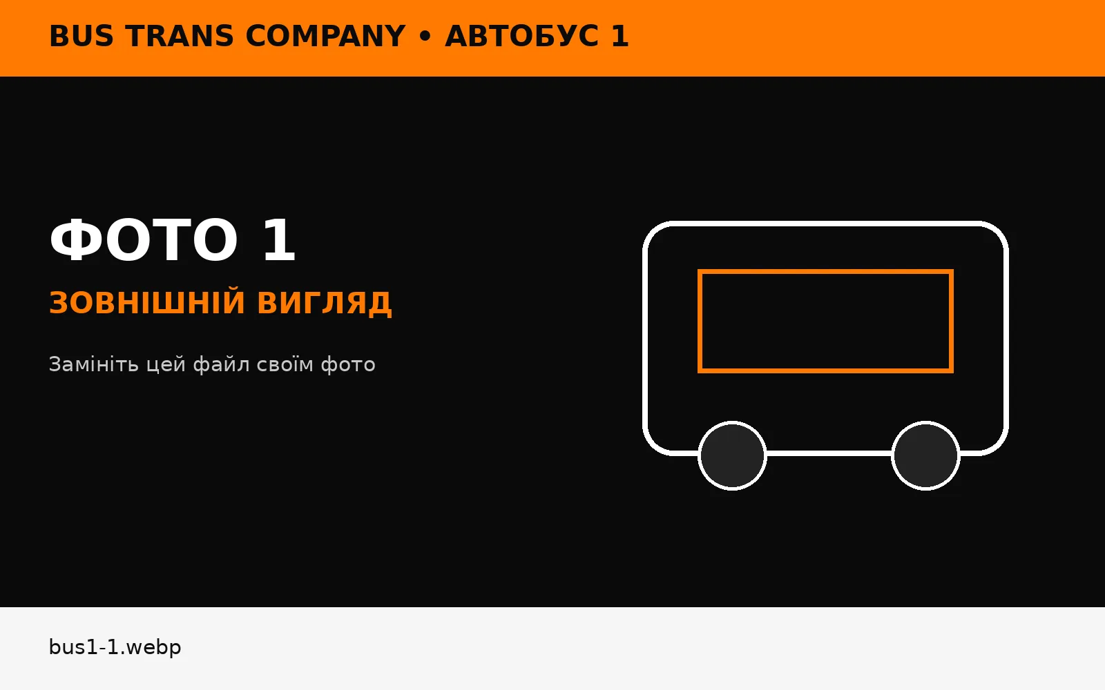 Автобус 1 Bus Trans Company — перевезення Україна Нідерланди Бельгія