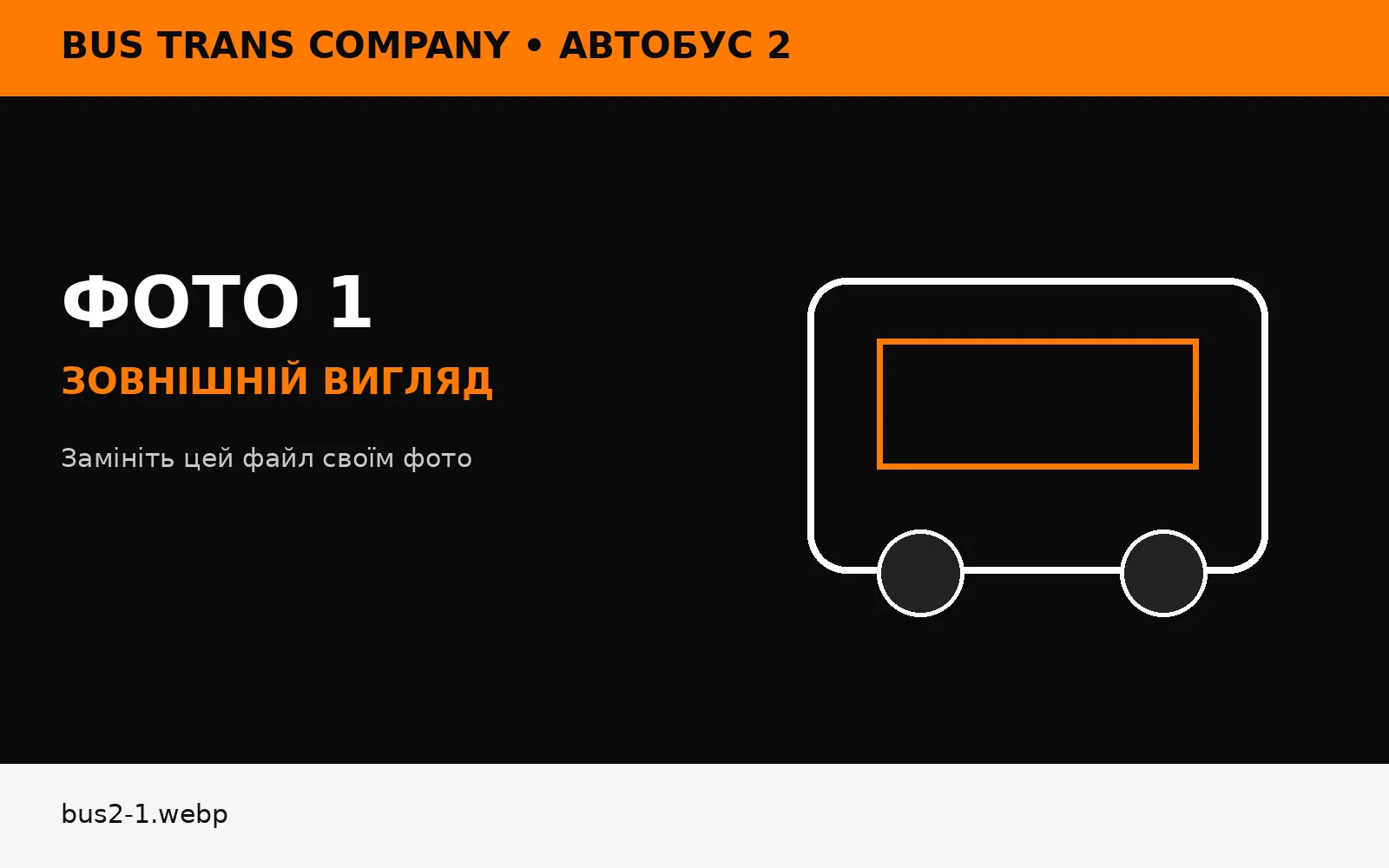 Автобус 2 Bus Trans Company — перевезення Україна Нідерланди Бельгія